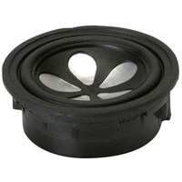 Tang Band W1-2025SA 1" Neodymium Full Range Driver